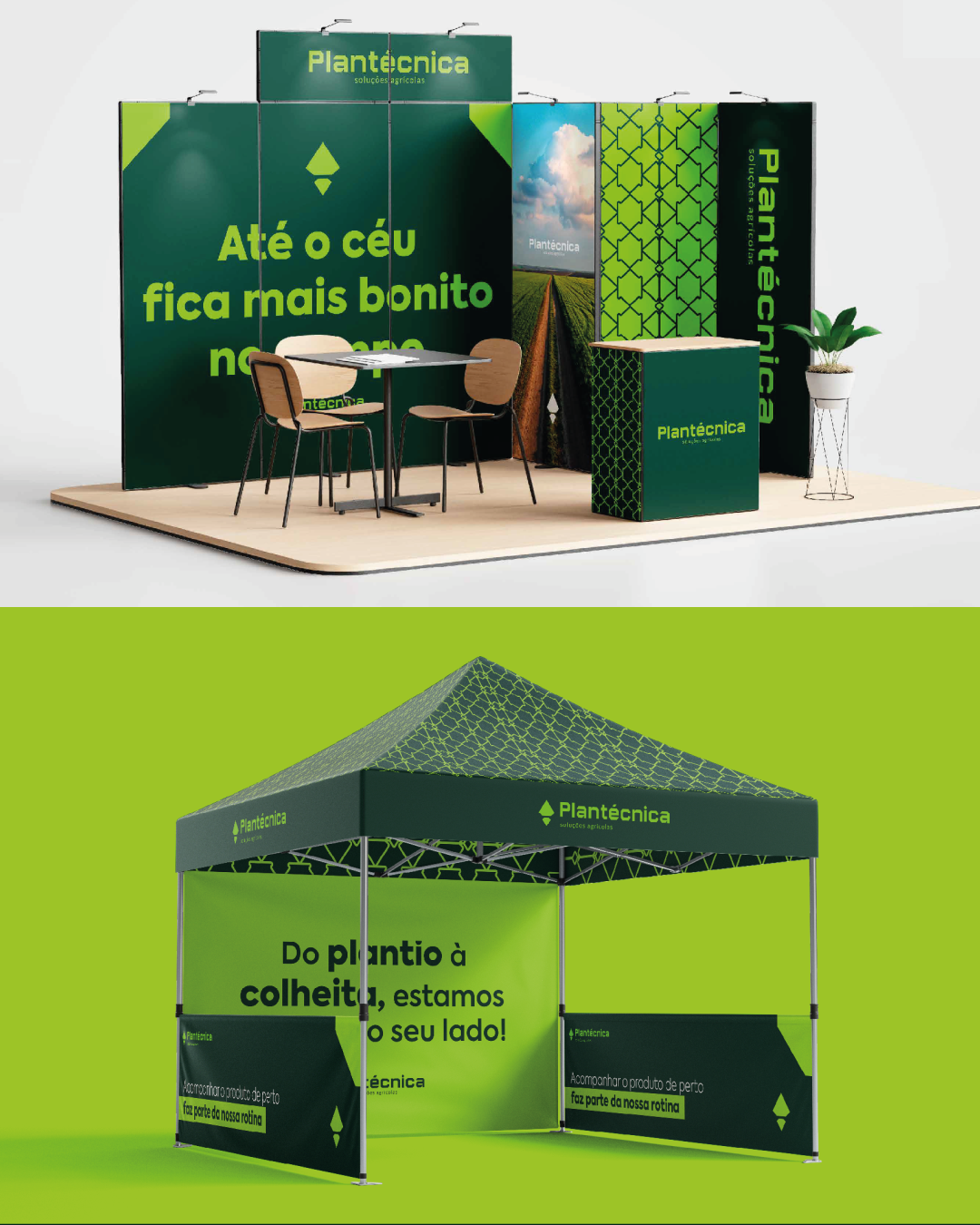 plantécnica iv 4