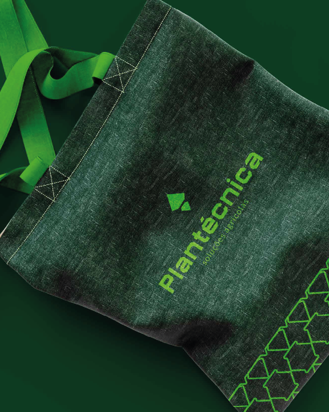 plantécnica iv 5